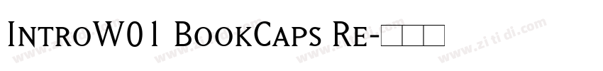 IntroW01 BookCaps Re字体转换